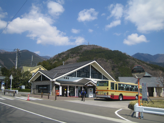 塔ノ岳2012春 505.jpg